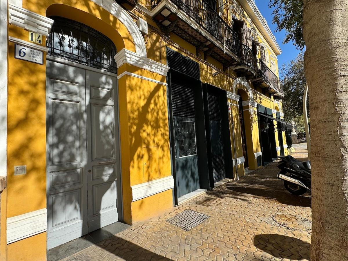 06 Alameda Luxury * Seville